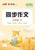 专项系列