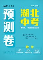 中考新领程系列