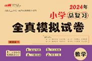 小学总复习系列